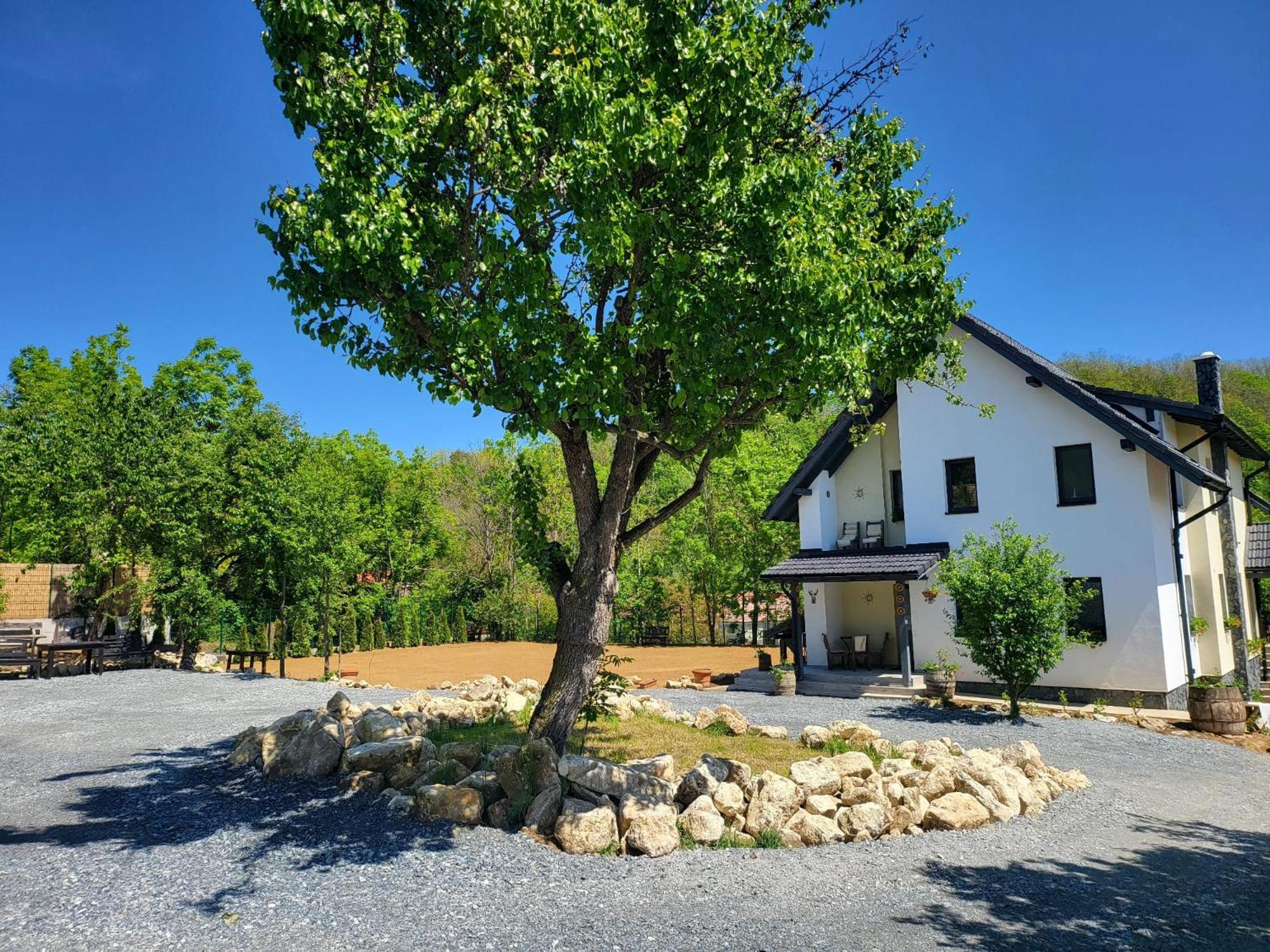 Pensiunea Casa Dacilor Podeni Exterior foto